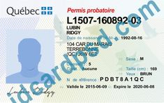 fake ontario drivers license toronto